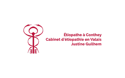 yety-informatique-communication-securite-maintenance-sauvegarde-parc-agence-web-creation-site-gestion-reseaux-sociaux-creation-logo-identite-visuelle-reference-22