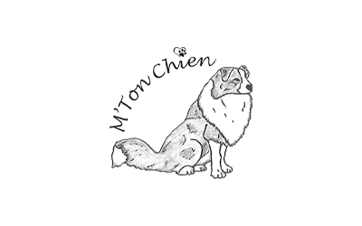 yety-informatique-communication-securite-maintenance-sauvegarde-parc-agence-web-creation-site-gestion-reseaux-sociaux-creation-logo-identite-visuelle-reference-30