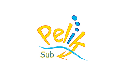 yety-informatique-communication-securite-maintenance-sauvegarde-parc-agence-web-creation-site-gestion-reseaux-sociaux-creation-logo-identite-visuelle-reference-32