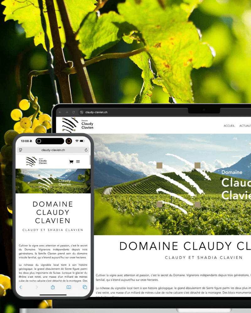 Création de site web vitrine pour Simon Sanchez, cabinet de médecine chinoise RIYUE